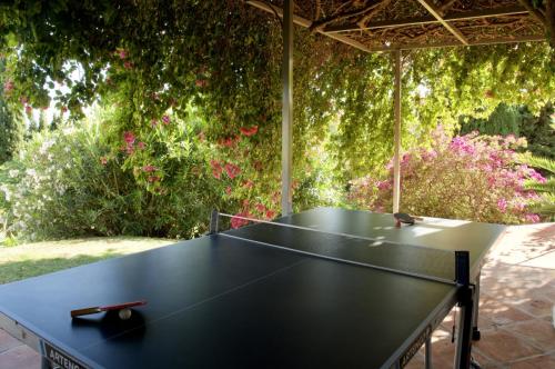 Mesa de ping pong 2